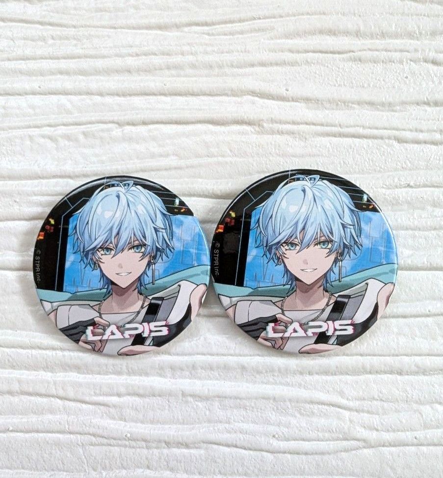 めておら メテオラ らぴす Lapis First 1MPACT 武道館 缶バッジ 2個