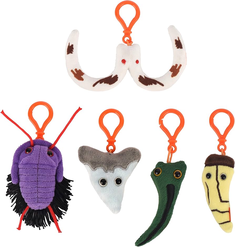 Amazon.co.jp: Fuzzy Fossils 恐竜 化石をテーマにしたギフトボックス