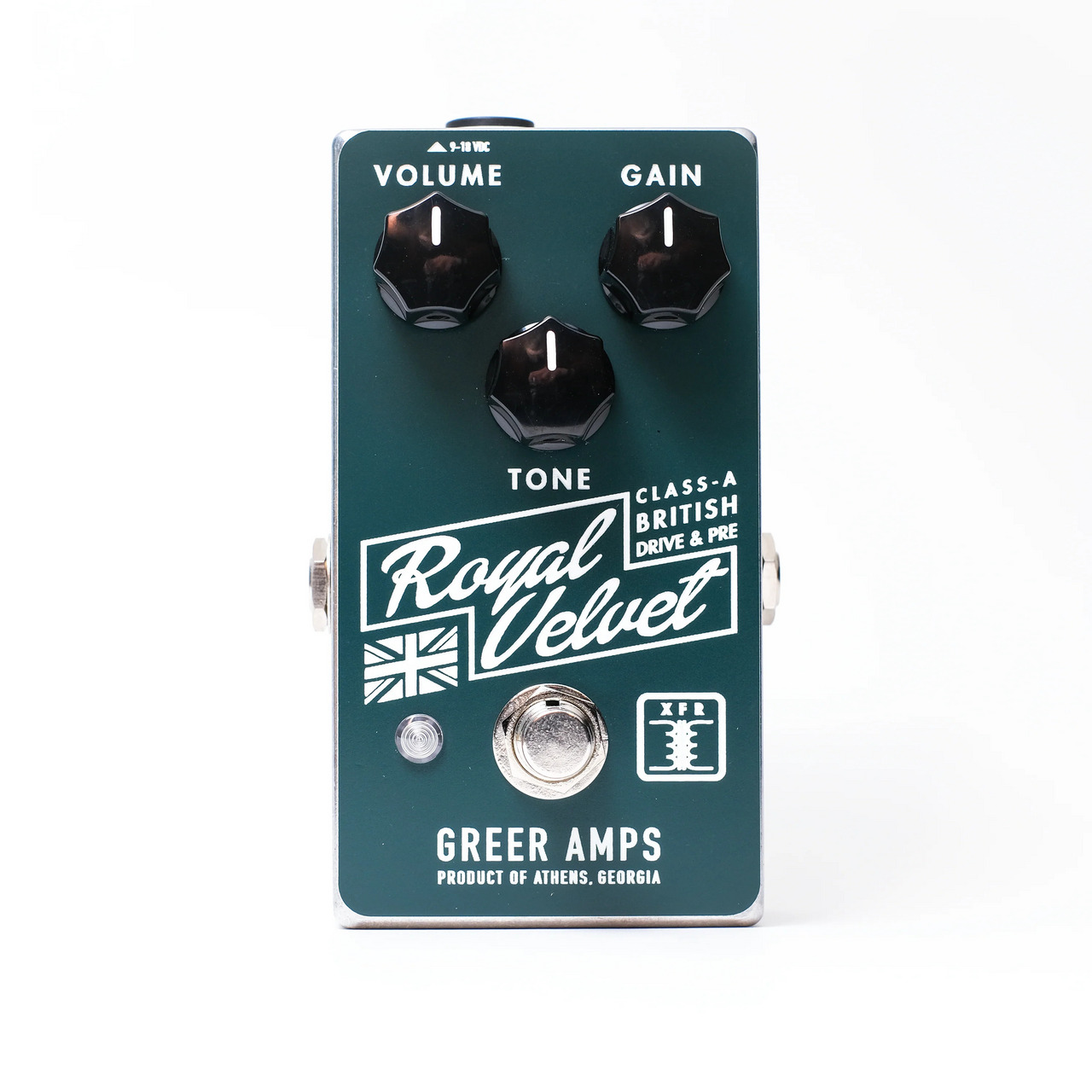 Animals Pedal Custom Illustrated 029 Surfing Bear Overdrive by
