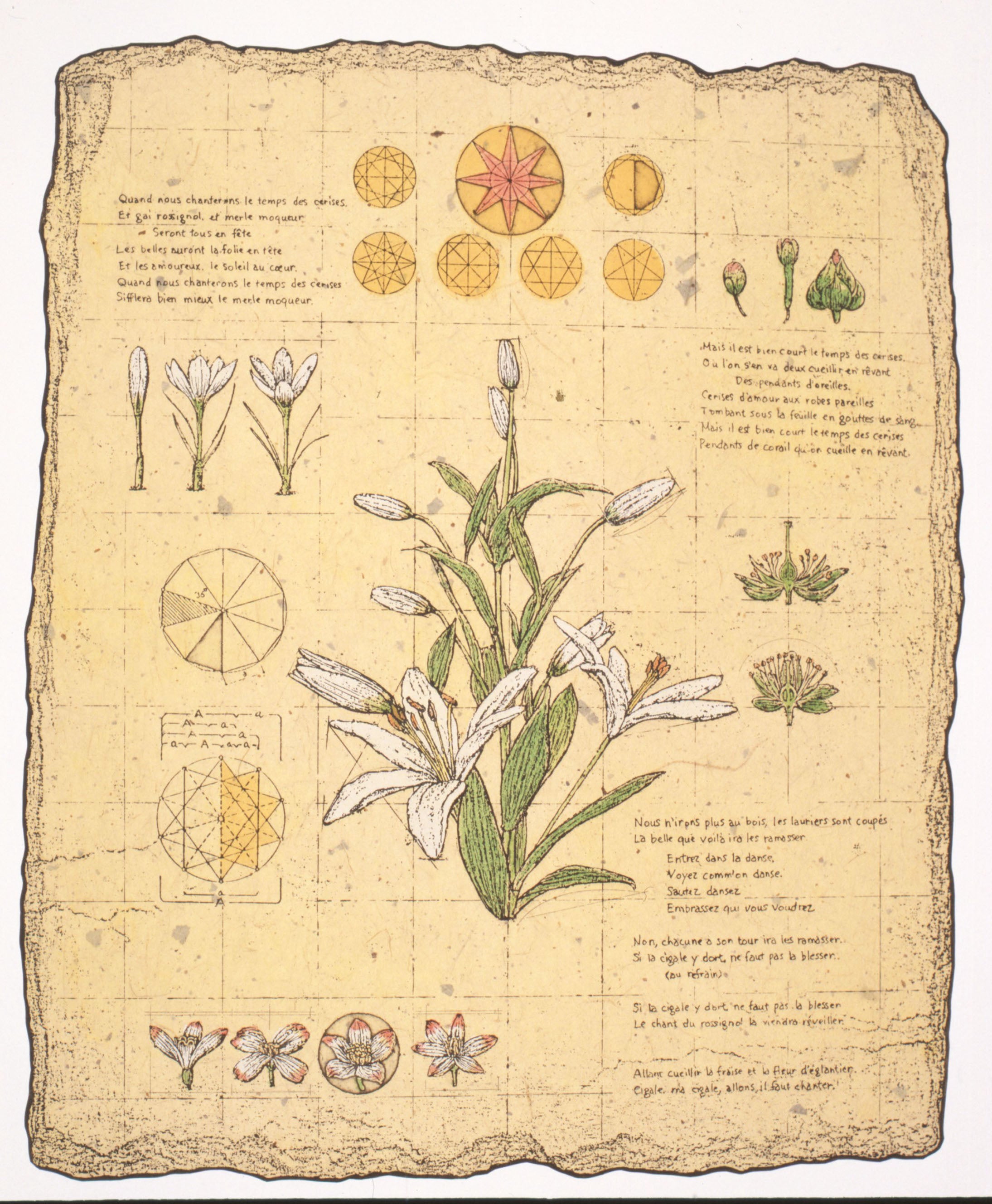 高橋シュウ作品展 | 株式会社Gatouのプレスリリース